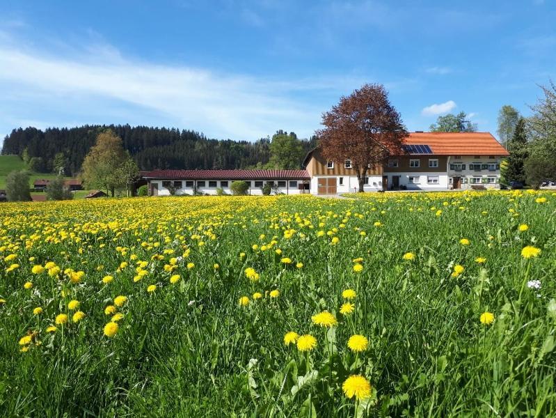 Ferienhaus Rasch Maierhöfen Extérieur photo